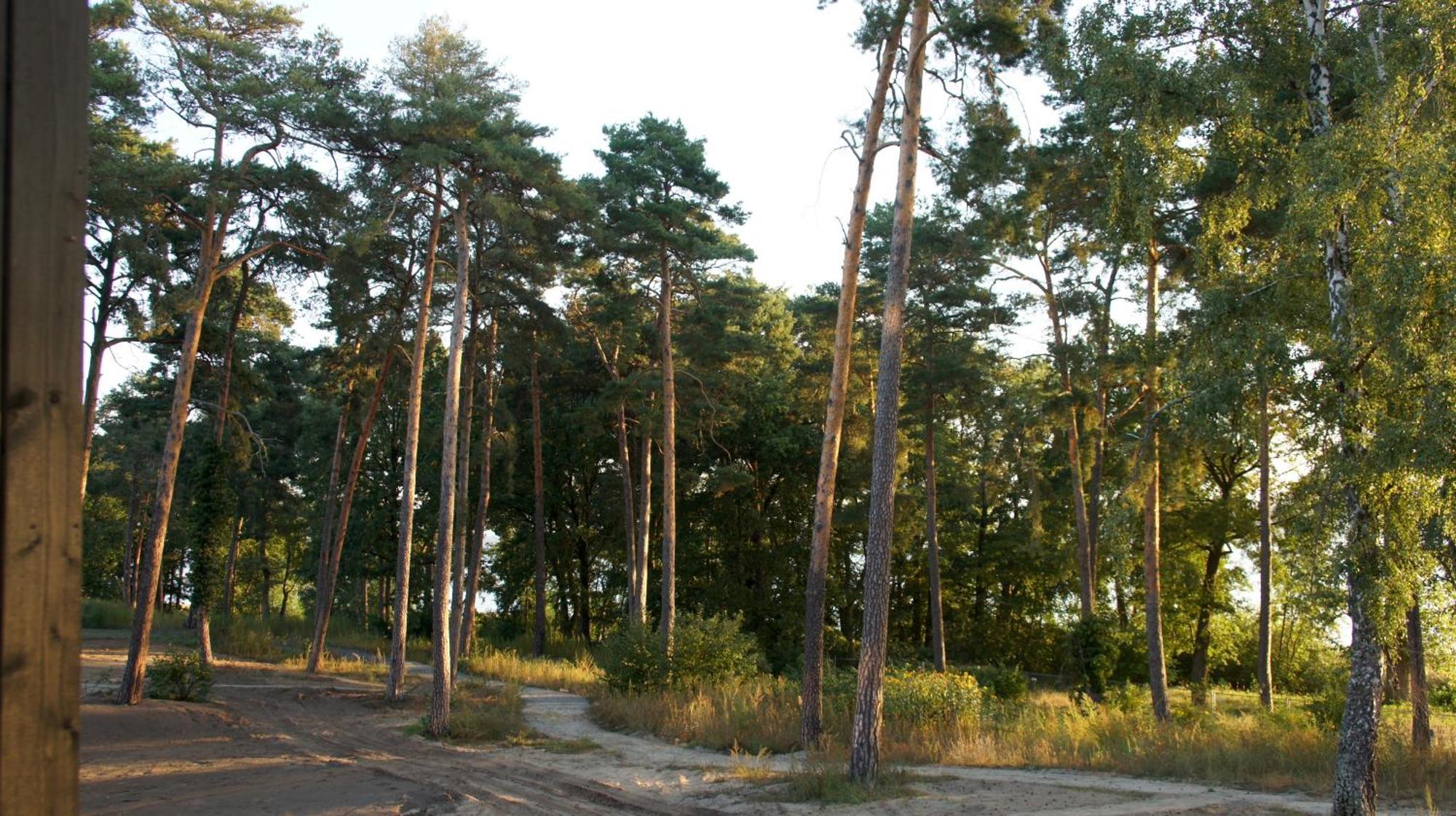 Marina Maisonette Seeblick Mit Pool Und Sauna Bad Saarow Extérieur photo